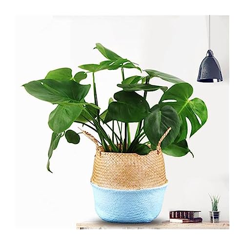 GDHKDDFL Dekorative Pflanzgefäße Bambus Aufbewahrungskorb Faltbar Dekorative Patchwork Gewebte PflanzenanordnungMinimalistisch(Blue) von GDHKDDFL