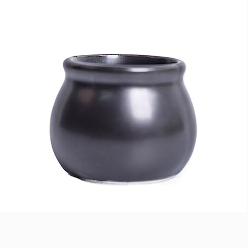 GDHKDDFL Dekorative Pflanzgefäße Desktop-Gartenbedarf Sukkulenten Blumen Pflanzen Pflanzgefäße Home Dekorationen von GDHKDDFL