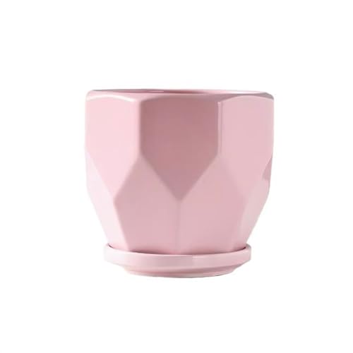 GDHKDDFL Dekorative Pflanzgefäße Keramik Keramik Große mit Tablett Einfache Haushalt Kreative Sukkulenten(Pink,L) von GDHKDDFL