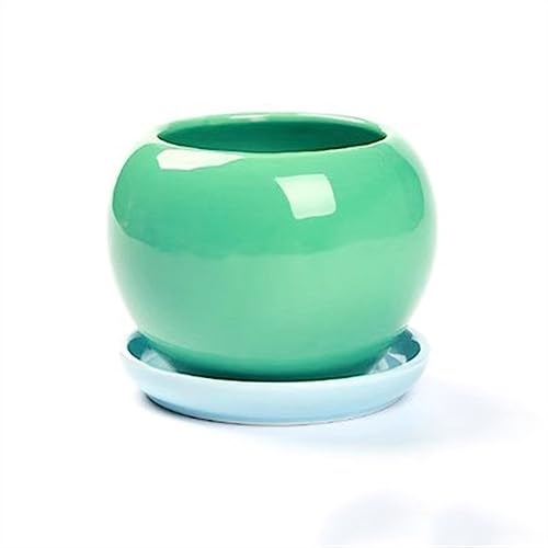 GDHKDDFL Dekorative Pflanzgefäße Niedliche runde Sukkulenten Pflanzen Pflanzenanbau einfache Pflanzgefäße Home Desktop Ornamente(Green,S) von GDHKDDFL
