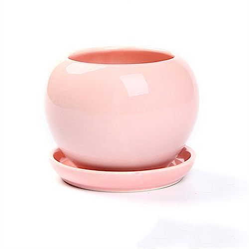 GDHKDDFL Dekorative Pflanzgefäße Niedliche runde Sukkulenten Pflanzen Pflanzenanbau einfache Pflanzgefäße Home Desktop Ornamente(Pink,M) von GDHKDDFL