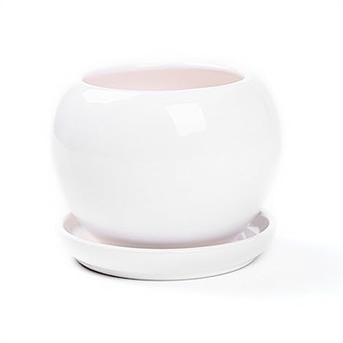 GDHKDDFL Dekorative Pflanzgefäße Niedliche runde Sukkulenten Pflanzen Pflanzenanbau einfache Pflanzgefäße Home Desktop Ornamente(White,M) von GDHKDDFL