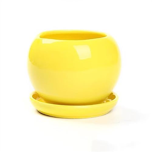 GDHKDDFL Dekorative Pflanzgefäße Niedliche runde Sukkulenten Pflanzen Pflanzenanbau einfache Pflanzgefäße Home Desktop Ornamente(Yellow,M) von GDHKDDFL