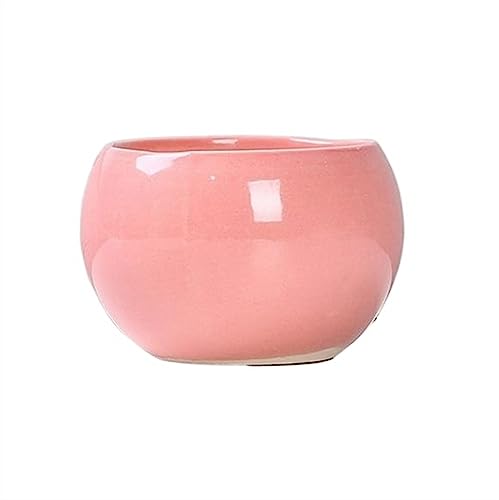 GDHKDDFL Dekorative Pflanzgefäße Runde GartenbedarfPflanzgefäße mit DrainagelöchernSukkulentenpflanzung(Pink) von GDHKDDFL