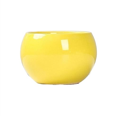 GDHKDDFL Dekorative Pflanzgefäße Runde GartenbedarfPflanzgefäße mit DrainagelöchernSukkulentenpflanzung(Yellow) von GDHKDDFL