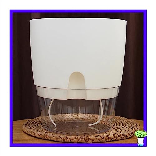 GDHKDDFL Dekorative Pflanzgefäße Transparentes Doppel-Innenset mit Baumwollseil-Bewässerung, klein, mit Wasserfüller, Kunststoff-Pflanzgefäße, klein, for Zuhause(White,S) von GDHKDDFL