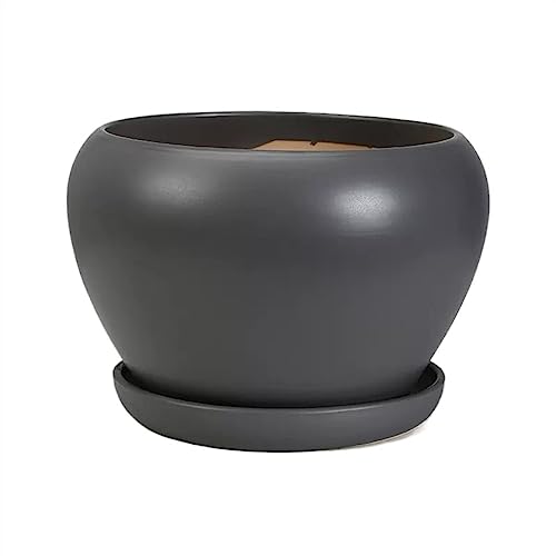 GDHKDDFL Dekorative Pflanzgefäße Übergroße, runde, niedliche Keramik mit Tablett-Pflanzgefäßen, einfache Sukkulenten, for Zuhause und Wohnzimmer(Black,M) von GDHKDDFL