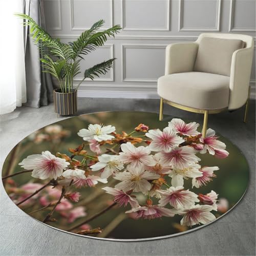 GDJSMIN Waschbarer Teppich Rund 100Cm Pflanzen Und Wildblumen Teppiche Schlafzimmer - Waschbarer Kurzflor-Runder Teppich Mit Rutschfester Unterseite Für Esszimmer & Sund Kinderzimmer Rosa von GDJSMIN