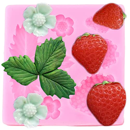 Heidelbeer-Himbeer-Kirsch-Erdbeer-Fondant-Formen Beeren-Serie Schokoladen-Silikon-Form-Süßigkeiten-Cupcake-Topper-Dekorationswerkzeuge, CE481 von GDPOOTREE