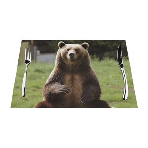 PVC-Platzdeckchen-Set, rutschfest, hitzebeständig, Vinyl, Motiv: Bär auf dem Rasen, abwischbar, waschbar, Tischmatten für Küche, Esstisch, Dekoration, 6 Stück PVC-Platzdeckchen-Set, rutschfest, hitzebeständig, Vinyl, Motiv: Bär auf dem Rasen, abwischbar, waschbar, Tischmatten für Küche, Esstisch, Dekoration, 6 Stück von GDSHJKLW