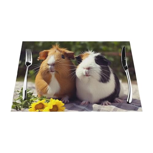 PVC-Platzsets, rutschfest, hitzebeständig, Vinyl, Meerschweinchen, lustig, abwischbar, waschbar, Tischmatten für Küche, Esstisch, Dekoration, 4 Stück von GDSHJKLW