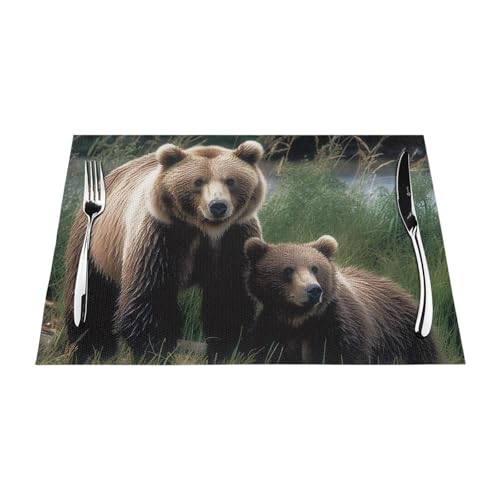 PVC-Platzsets, rutschfest, hitzebeständig, Vinyl, Motiv: A Mother and A Cub Bears, abwischbar, waschbar, Tischmatten für Küche, Esstisch, Dekoration, 1 Stück von GDSHJKLW