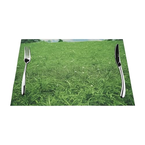 PVC-Platzsets, rutschfest, hitzebeständig, Vinyl, abwischbar, waschbar, Tischmatten für Küche, Esstisch, Dekoration, 4 Stück von GDSHJKLW