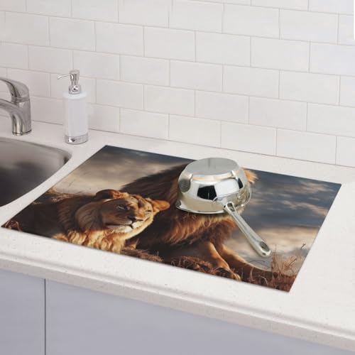 Two Lions Abtropfmatte für Küchentheke, saugfähige Mikrofaser, wendbar, waschbar, Abtropfgestell, 45,7 x 61 cm, für Zuhause, Küche, Esszimmer, Büro Two Lions Abtropfmatte für Küchentheke, saugfähige Mikrofaser, wendbar, waschbar, Abtropfgestell, 45,7 x 61 cm, für Zuhause, Küche, Esszimmer, Büro von GDSHJKLW