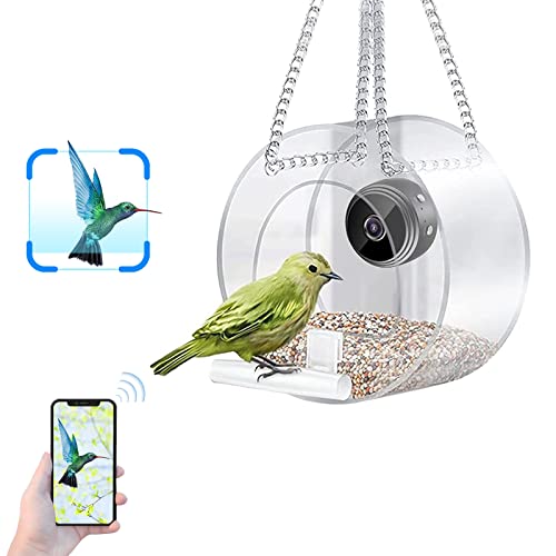 Intelligenter Vogelhäuschen Mit Kamera, Klares Fenster Futterspender mit HD 1080P Vogelbeobachtungskamera Zum Aufhängen, WiFi-Fernverbindung mit Mobiltelefon für Vogelbeobachtung im Freien (Rund) von GDWD
