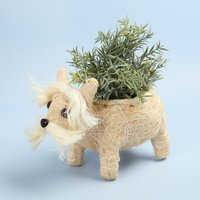 G Decor Scottish Terrier Rufus Fibre Übertopf G Decor Scottish Terrier Rufus Fibre Übertopf von GDecorLtd