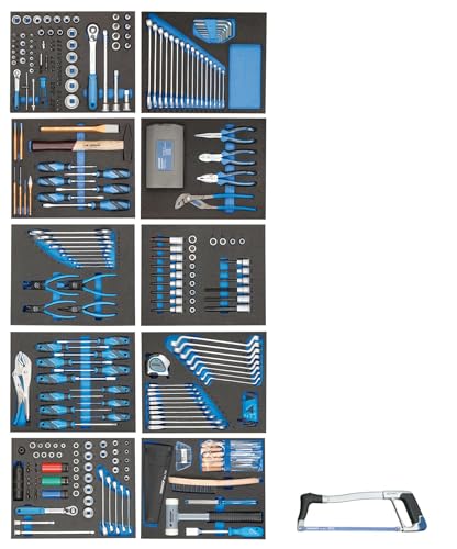 GEDORE Werkzeugsortiment 308-teilig in 10 Schaumstoffeinlagen für den Profi Schrauber/Heimwerker für Werkstattwagen/Werkzeugwagen von GEDORE