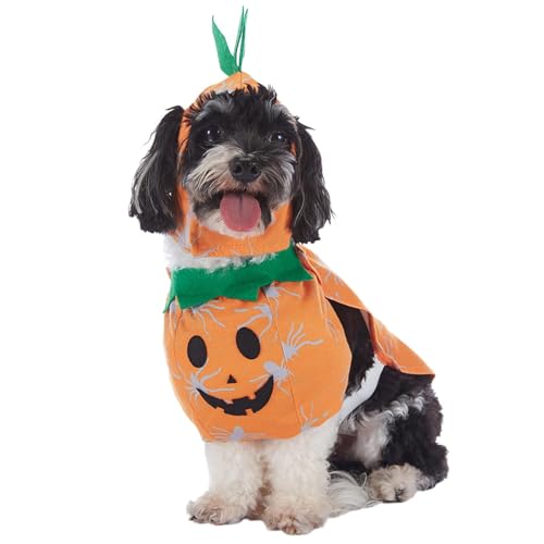 Halloween-Kostüm für Hunde, Halloween-Kostüm für Katzen, Kürbis-Hundekostüm, Kleidung für Hunde, Cosplay, Kostüme für Haustiere, lustige Kleidung für Katzen Halloween-Kostüm für Hunde, Halloween-Kostüm für Katzen, Kürbis-Hundekostüm, Kleidung für Hunde, Cosplay, Kostüme für Haustiere, lustige Kleidung für Katzen von GEDOX
