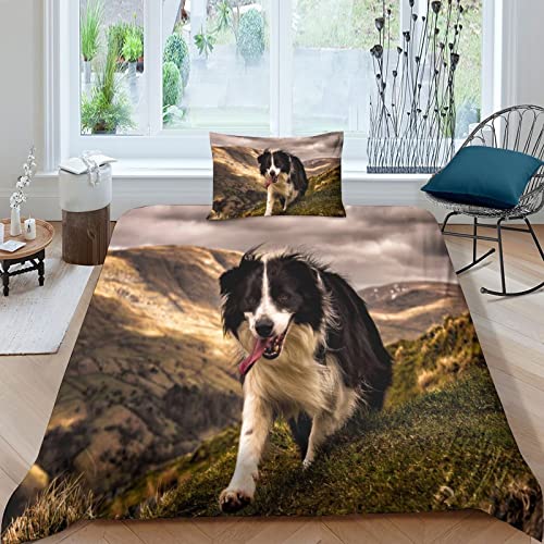 GEEYOU Border Collie Bettwäsche Mit Kopfkissenbezügen Bettdeckenbezug Schlafhilfe Pet Dog Bettbezug Komfortabel Steppdeckenbezug Set Atmungsaktiv Bed Linen Sets Single（135x200cm） von GEEYOU