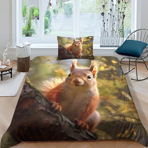 GEEYOU Cute Animals Bettbezug Microfaser Eichhörnchen Steppdeckenbezug Reißverschluss Bed Linen Sets Zip-Verschluss Bettdeckenbezug Atmungsaktiv Waschbar Bettwäsche Set Single（135x200cm） von GEEYOU