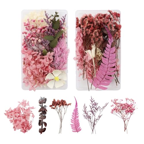 GEFIRE 2 Stück Natürliche Getrocknete Blumen, Trockenblumen Set Trockenblumen zum Basteln Gepresste Blumen Klein für Kunst Basteln DIY Harz Scrapbooking Handwerk Karten Machen (Rose Rot) von GEFIRE