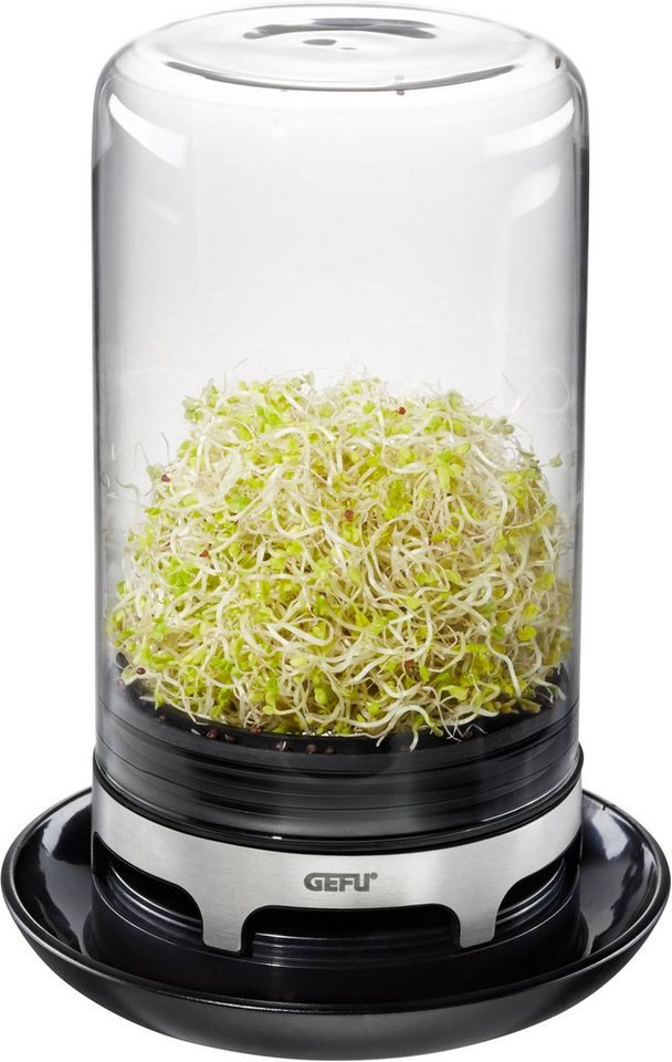 GEFU Kräutertopf Bivita, Sprossenglas von GEFU