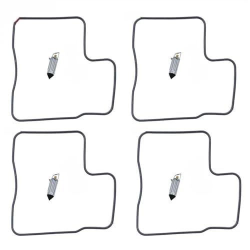 GEGWWFVVC Vergaser Vergaser Nadelventil Dichtung Luftschraube Reparatursatz VF700C VF700S VF700F VF750 VFR750 VFR750F V45(004) von GEGWWFVVC