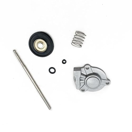GEGWWFVVC Vergaser YZ250F YZ426F WR400F WR250F YZ400F YZ450F YFZ450 WR450F WR426F CRF250X TRX450 Vergaser Beschleuniger Pumpe Membran GEGWWFVVC Vergaser YZ250F YZ426F WR400F WR250F YZ400F YZ450F YFZ450 WR450F WR426F CRF250X TRX450 Vergaser Beschleuniger Pumpe Membran von GEGWWFVVC