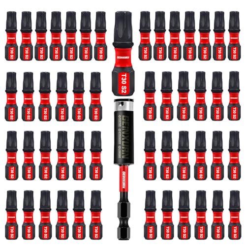 Geinxurn 51-teiliges T30 2,5 cm Schlagfestes magnetisches Einsatz-Bit-Set, 30 Torx-Kopf-Power-Bits, S2-Stahl-Stern-T30-Schraubendreher-Bit-Set mit 1 Schlag-Bithalter von GEINXURN