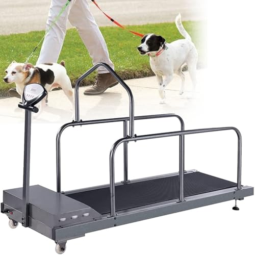 GEJLELDS Hundelaufband, Haustier-Laufband für große und mittelgroße Hunde, Indoor-Training mit Neigungseinstellung und Anzeigebildschirm, Tragkraft 220 Pfund,A GEJLELDS Hundelaufband, Haustier-Laufband für große und mittelgroße Hunde, Indoor-Training mit Neigungseinstellung und Anzeigebildschirm, Tragkraft 220 Pfund,A von GEJLELDS