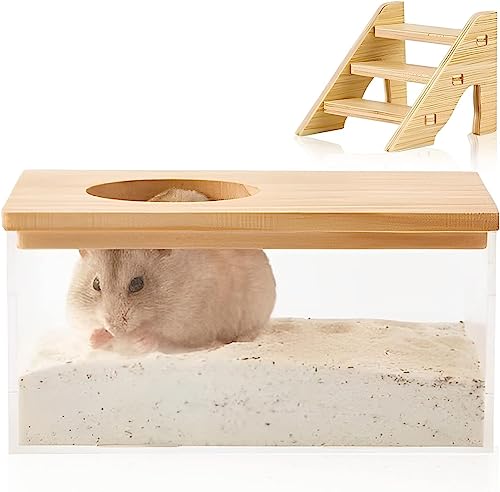 GENCAM Sandbad Container für Hamster mit Leiter Haustier Transparenter Acryl Duschraum, Hamster Badehaus für Eichhörnchen Kaninchen Ratte von GENCAM