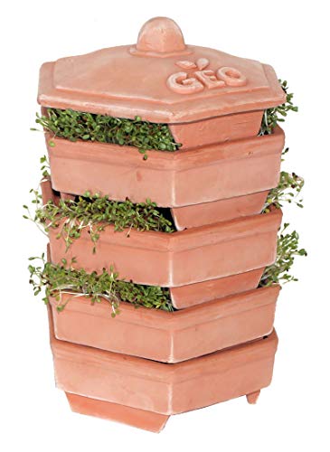 Geo TZZ0933 Anzuchtsets TerradiSiena Keimgerät, braun, 19x19x31 cm von GEO