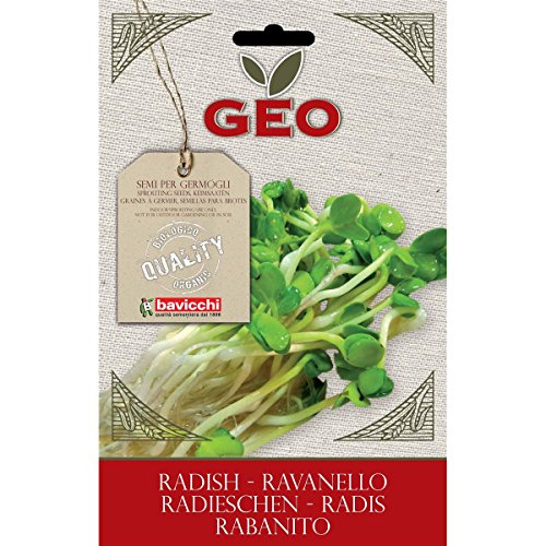 Geo VRV1103 Keimsaaten Rotkohl, braun von GEO