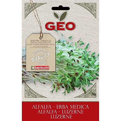 Geo ZER0203 Keimsaaten Alfalfa, braun von GEO