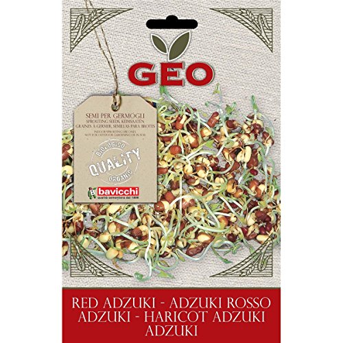 Geo ZFN0403 Keimsaaten Adzuki, braun von GEO