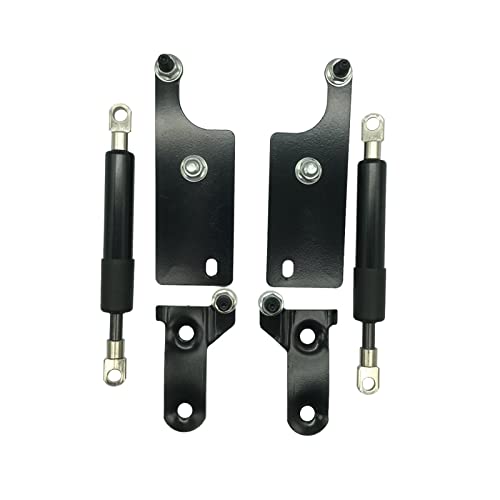 Auto Kofferraum Gasfeder Auto Hinten Links Rechts Heckklappe Bord Unterstützung Stange Strut Unterstützen Dämpfer Für Toyota Für Hilux GUN125 GUN126 Für Revo 2015-2022 Heckklappe Gasfederbein (Color von GERGRGB