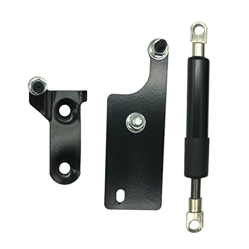 Auto Kofferraum Gasfeder Auto Hinten Links Rechts Heckklappe Bord Unterstützung Stange Strut Unterstützen Dämpfer Für Toyota Für Hilux GUN125 GUN126 Für Revo 2015-2022 Heckklappe Gasfederbein (Color von GERGRGB