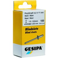 Gesipa - Blindniet PolyGrip® Nietschaft d x l 4,8 x 10 mm Aluminium / Edelstahl 50 St. von GESIPA