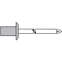 CAP-Blindniete Alu/Stahl 4 x 12,5 - Gesipa CAP-Blindniete Alu/Stahl 4 x 12,5 - Gesipa von GESIPA