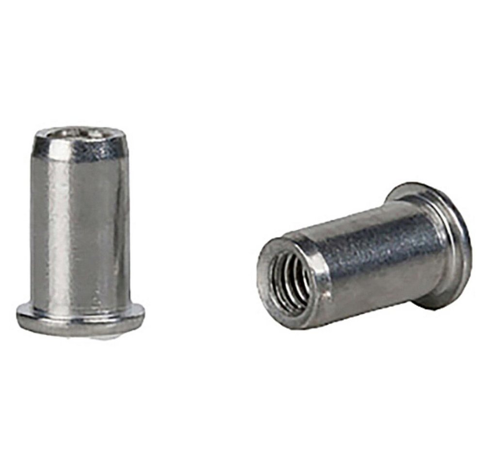 GESIPA Niete Gesipa 1433713 Blindnietmutter (x L) 9 mm x 15.5 mm M6 Stahl 250 von GESIPA