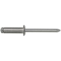 Format - gesipa Blindniete Flachrundkopf 3.0x 6 Aluminium mit Edelstahldorn von FORMAT