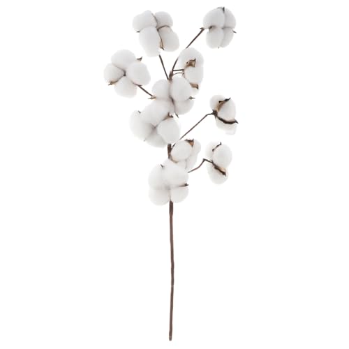 GETAJGHSD Köpfe Künstliche Baumwollzweige Farmhouse Style Natürliche Trockenblumen Füller für DIY Hochzeitsdeko Blumenarrangements Wohnaccessoires Flexibel von GETAJGHSD