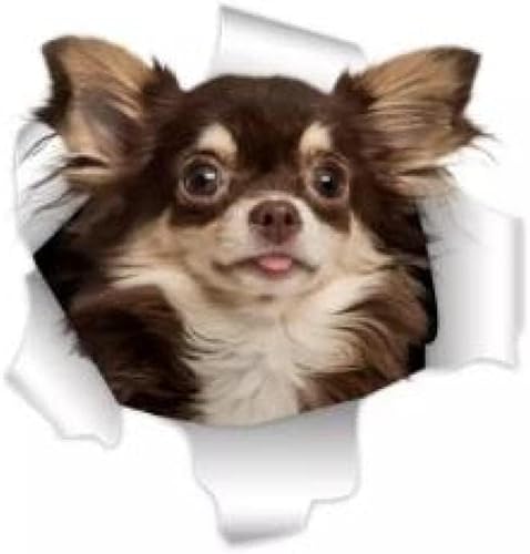 And Decals 30 Cm 3D-Chihuahua-Hundeaufkleber, Super-Aufkleber An Der Wand, Kühlschrank, Toilette, Auto, Fahrrad (2 Stück) von GETIPOTY