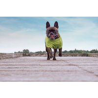 Gemütlicher Baumwolle Hundepullover/Kurzarm Mit Rundhalsausschnitt von GETMATCHIT
