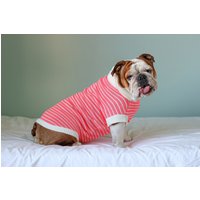Sommer-streifen-Baumwollstrick-Hundeoberteil // Zweifarbiger Rundhals-Hundepullover Sommer-streifen-Baumwollstrick-Hundeoberteil // Zweifarbiger Rundhals-Hundepullover von GETMATCHIT