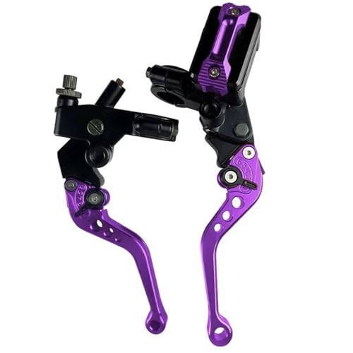 Kupplung Bremshebel 1 Paar 7/8 "22mm Universal Motorrad Bremse Master Zylinder Hebel Kabel Kupplung Reservoir(Purple B) von GETPZPZHMQ