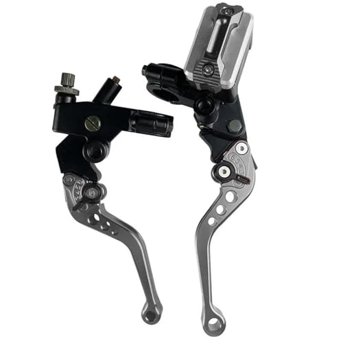Kupplung Bremshebel 1 Paar 7/8 "22mm Universal Motorrad Bremse Master Zylinder Hebel Kabel Kupplung Reservoir(Titanium A) von GETPZPZHMQ