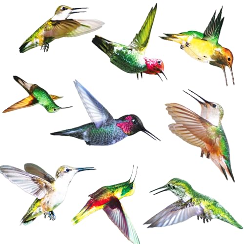 8er Pack Fensteraufkleber Vogelschutz Verhindern, Dass Vögel auf Fensteraufkleber Treffen Vogelschutz Fenster Doppelseitig Selbstklebend Vogelschutz Fensteraufkleber Fensterfolie bunt von GEXINKEJI