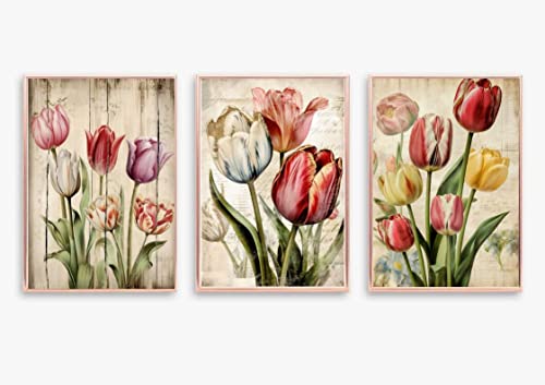 gfc Set mit 3 Tulpen Blumen Druck Bild Poster A4 ungerahmt Einmachglas Rosa Lila Gelb Shabby Chic Country Vase Wandkunst Heimdekoration Dekoration von GFC