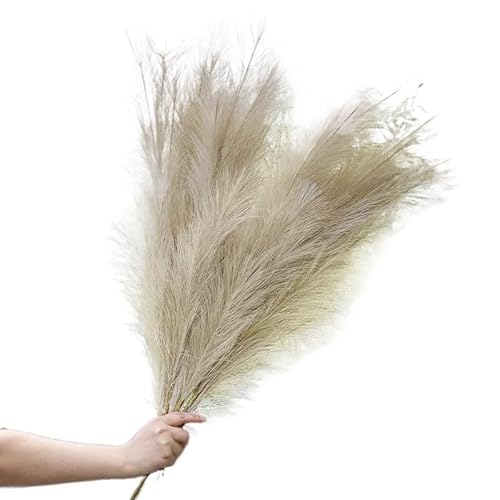Pampasgras Deko 1 stück 120 cm Künstliches Pampasgras Blumenstrauß Vase Hochzeit Hausgarten Dekoration Pflanze Real Touch Gefälschte Blume Reed Weihnachten(A) von GFDSGRE